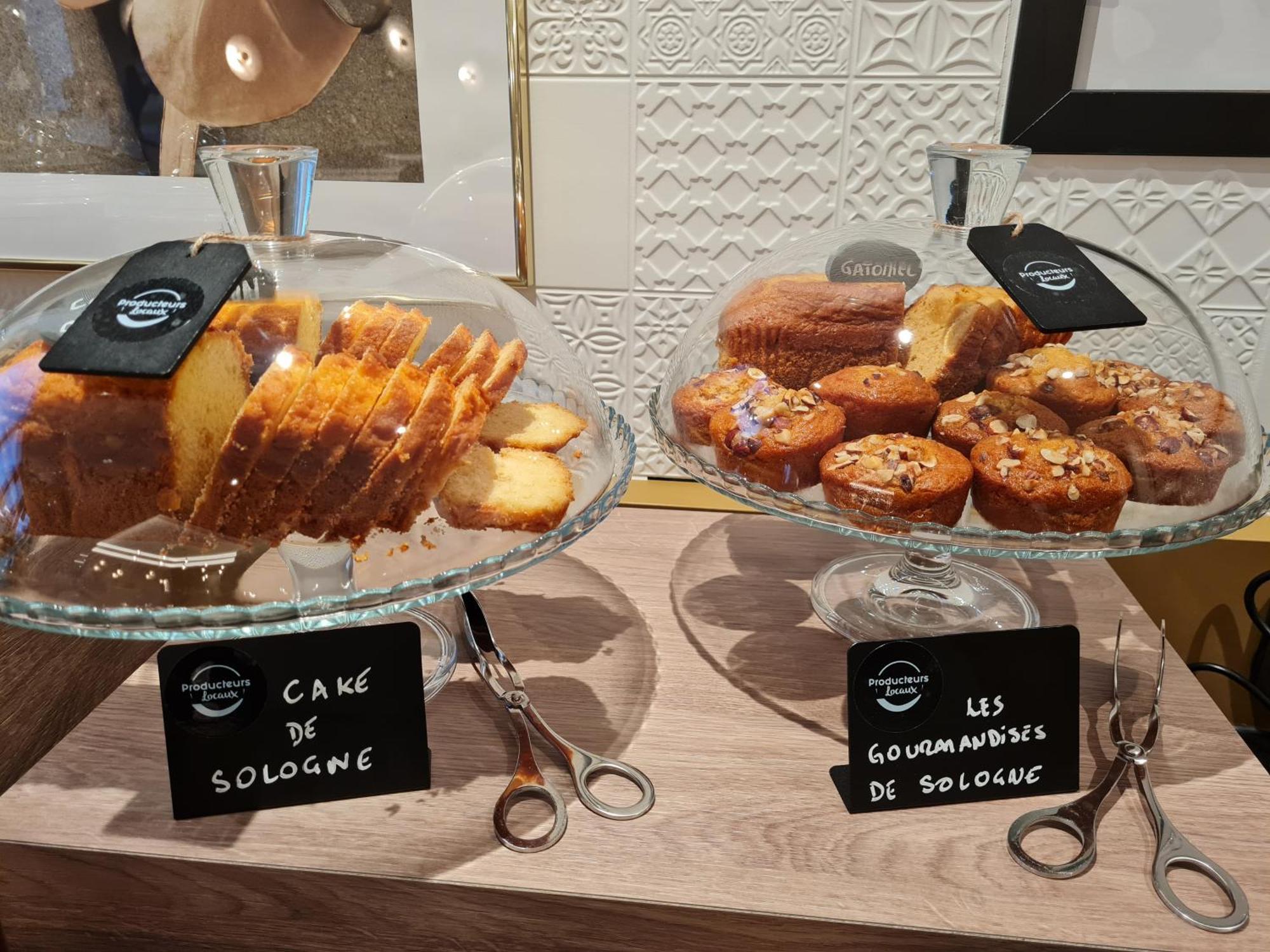 Brit Hotel Orleans St Jean De Braye - L'Antares Сен-Жан-де-Бре Екстер'єр фото