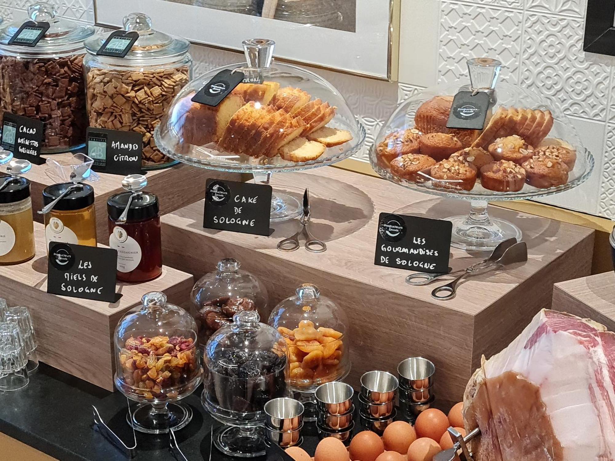 Brit Hotel Orleans St Jean De Braye - L'Antares Сен-Жан-де-Бре Екстер'єр фото